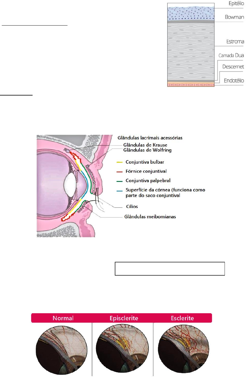 Untitled, image size:838x1283