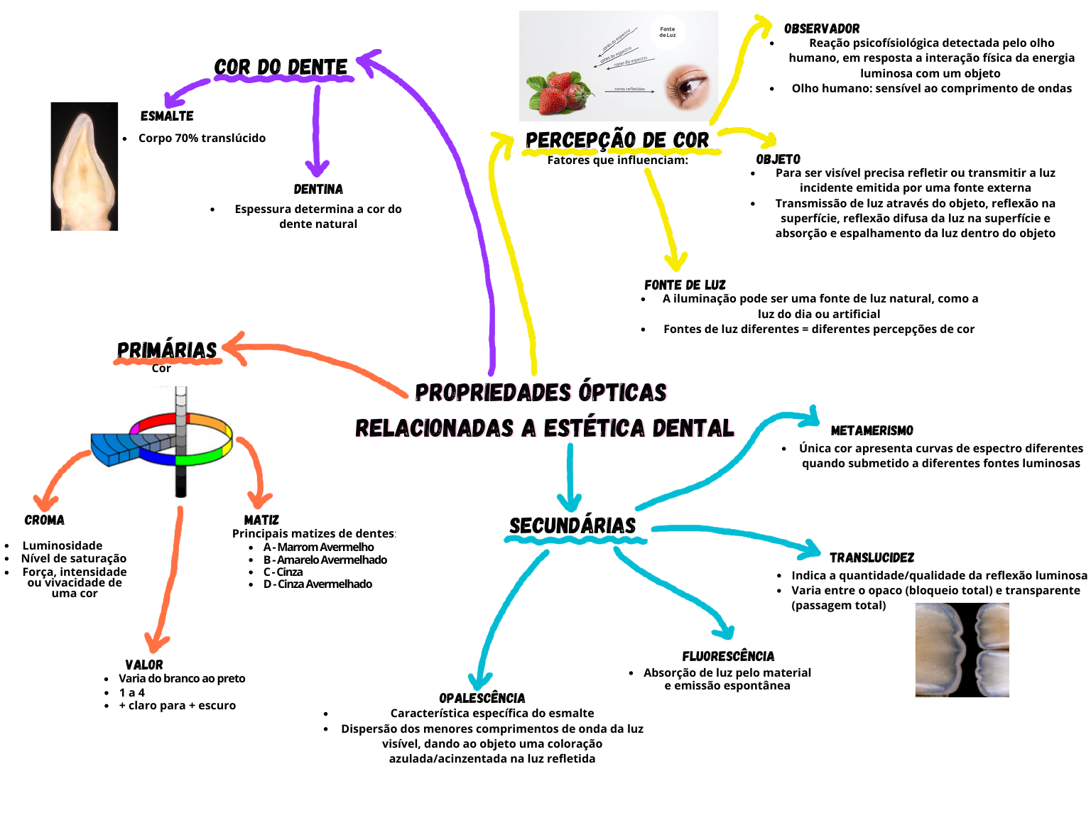 Características de transmissão de luz em dielétrico de anisotropia -  Exposição - PANASYS