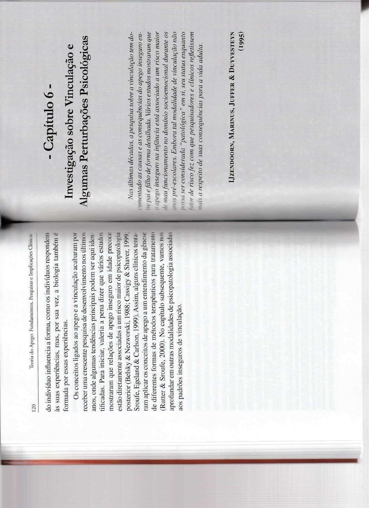 Psicopatologia Do Desenvolvimento E Vinculacao 1 Psicologia Do Desenvolvimento