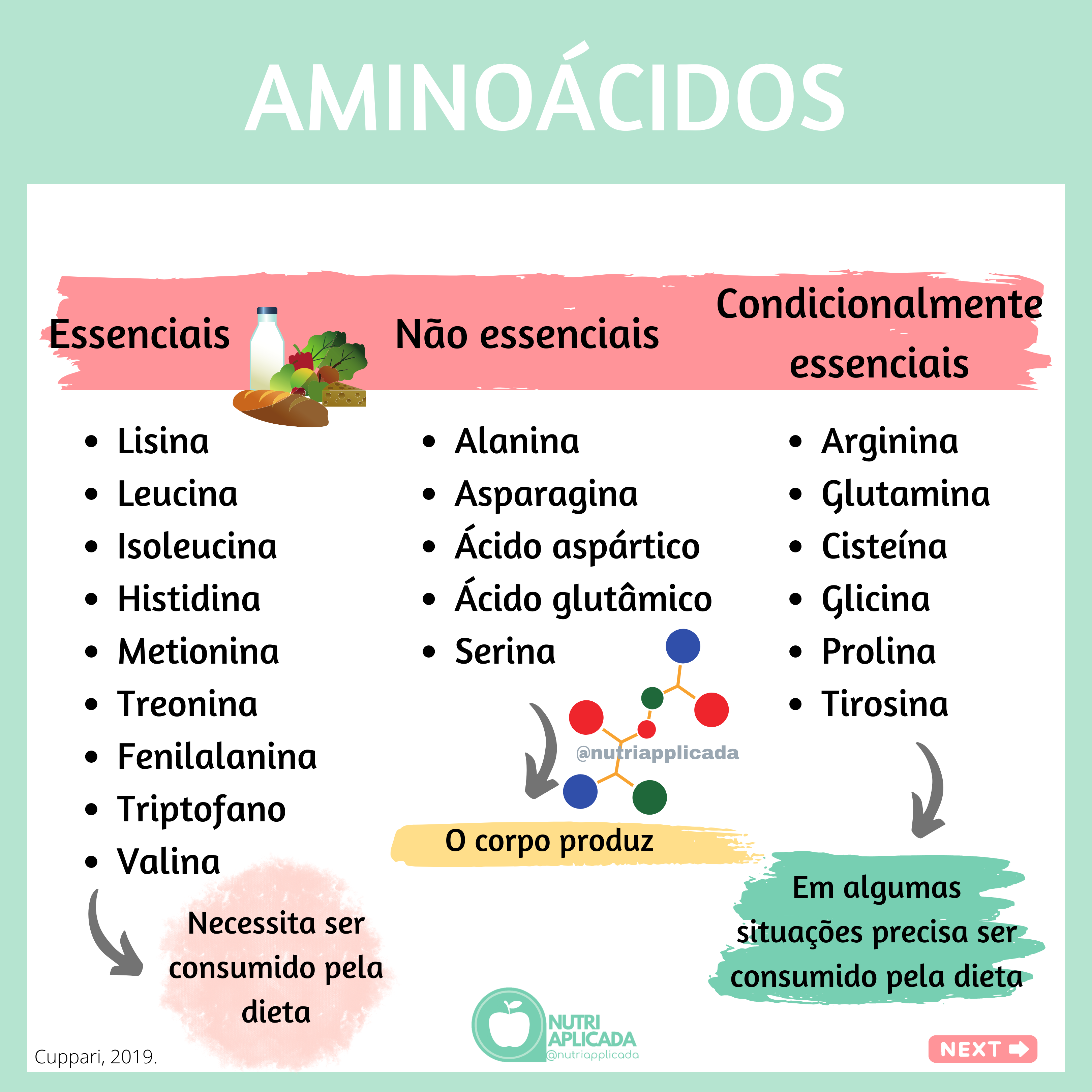 Conheca Mais Sobre Os Aminoacidos Naturais E Suas Funcoes Images 1976