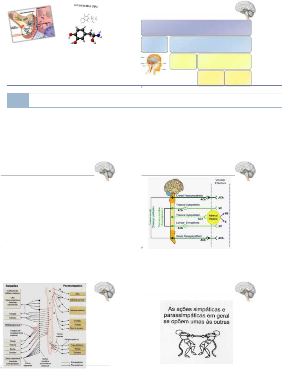 Fi aula-5-farmacologia-sna-completo