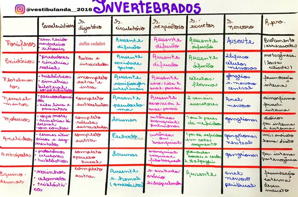 Invertebrados tabela - Biologia