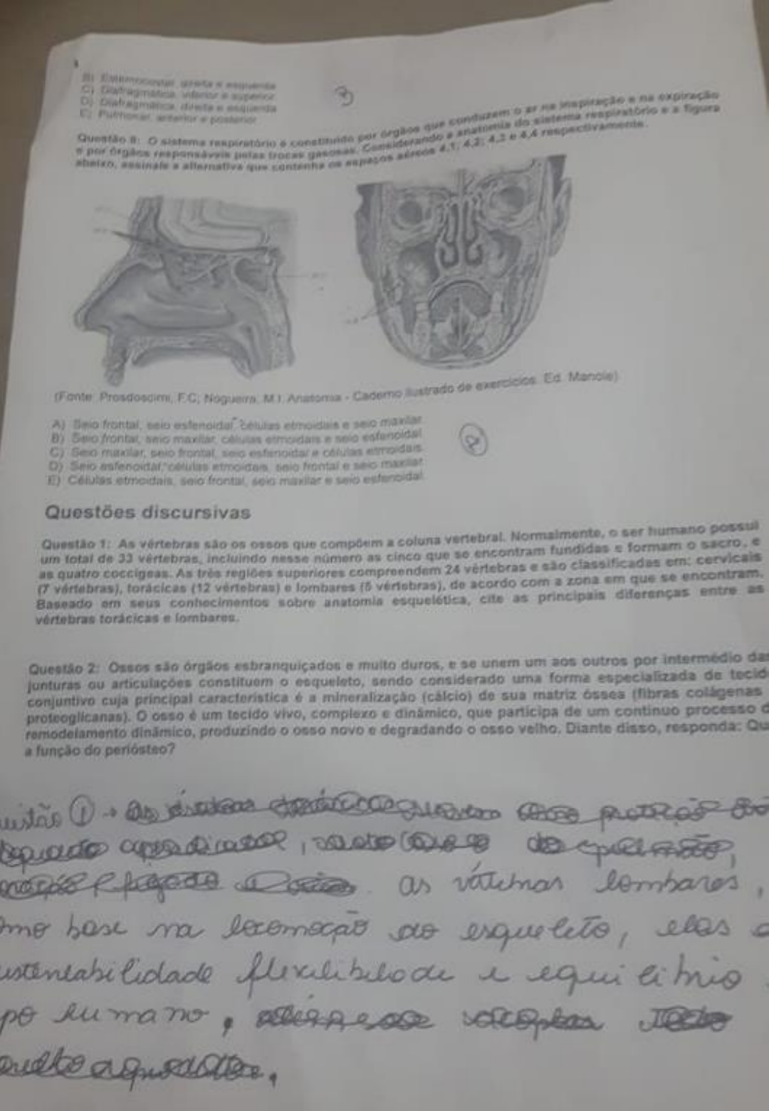 Prova Anatomia Anatomia Humana I