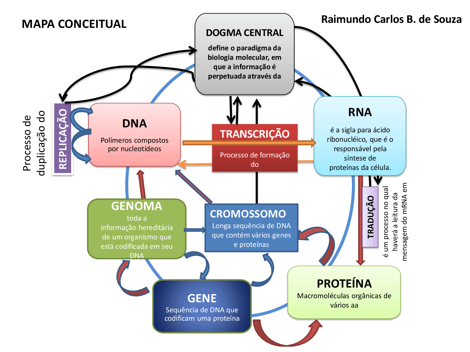 Mapas Mentais sobre DUPLICAÇÃO DO DNA - Study Maps  Duplicação do dna,  Replicação do dna, Transcrição e tradução