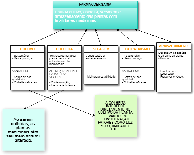 Gambar Mapa Mental Farmacognosia - Gatotkaca Search