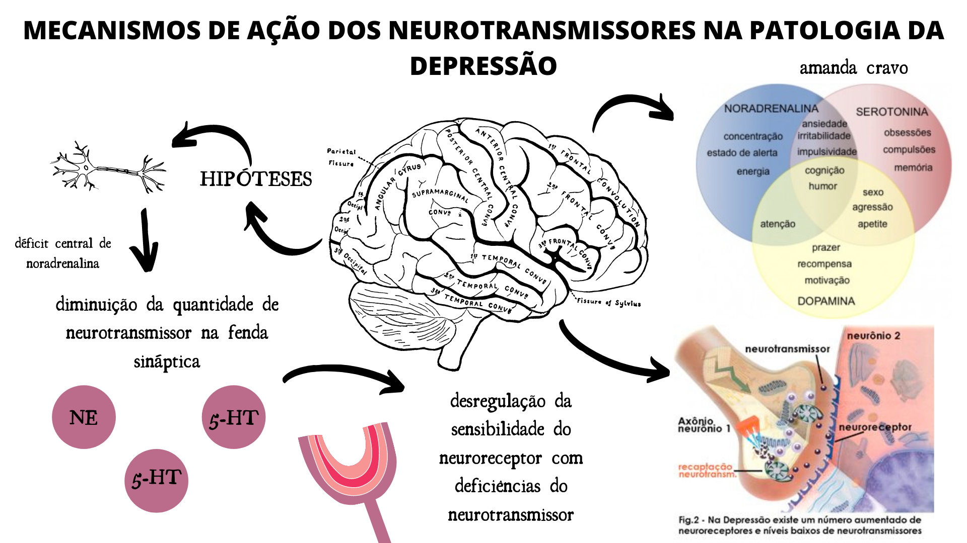 Mecanismos De AÇÃo Dos Neurotransmissores Na Patologia Da DepressÃo Psiquiatria I 2963