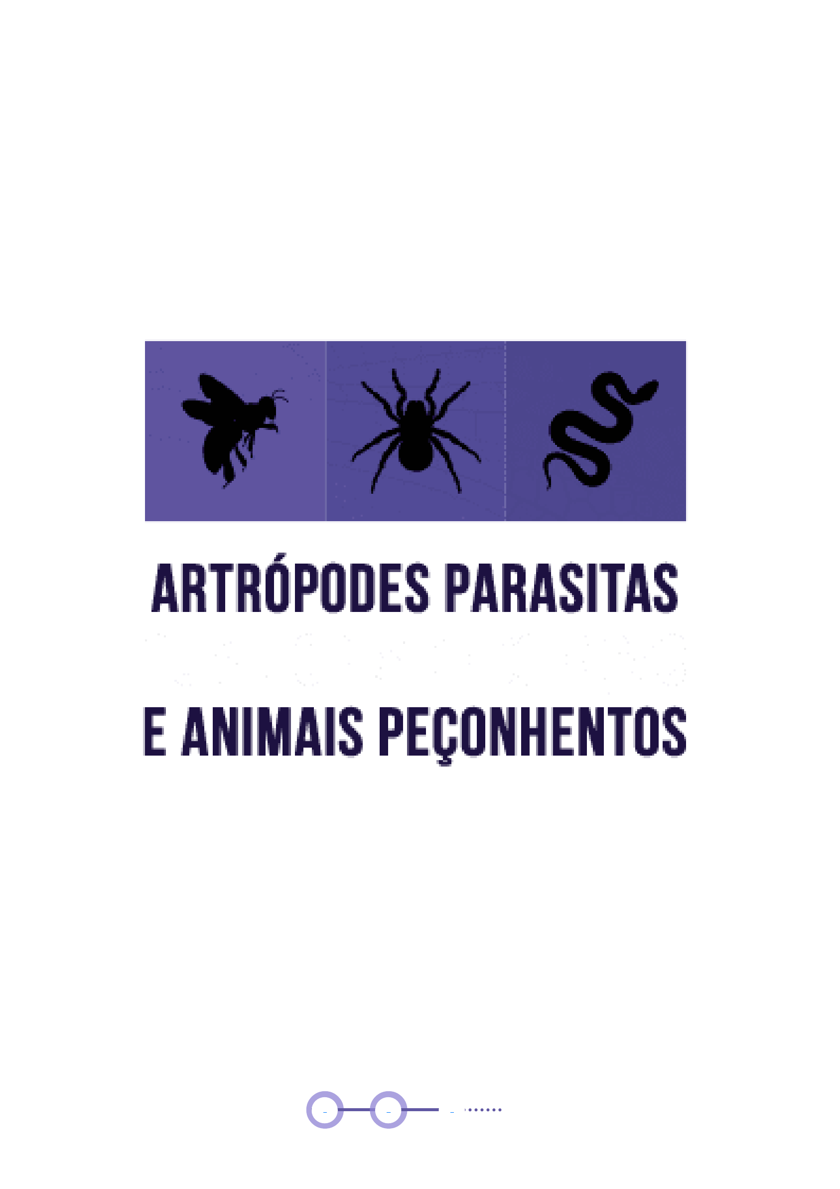 Marimbondo-cavalo: conheça o inseto com a picada mais dolorosa do mundo -  Revista Globo Rural