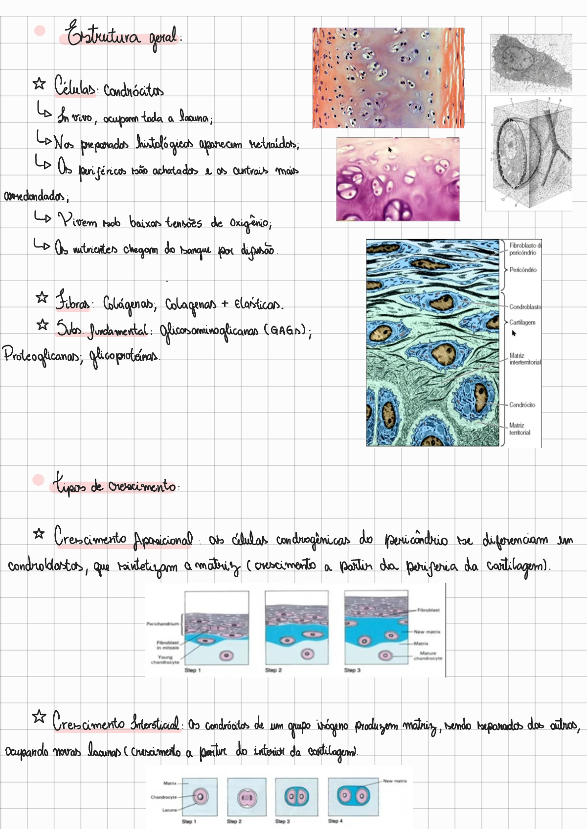 Resumo De Tecido Cartilaginoso - Histologia - Histologia I