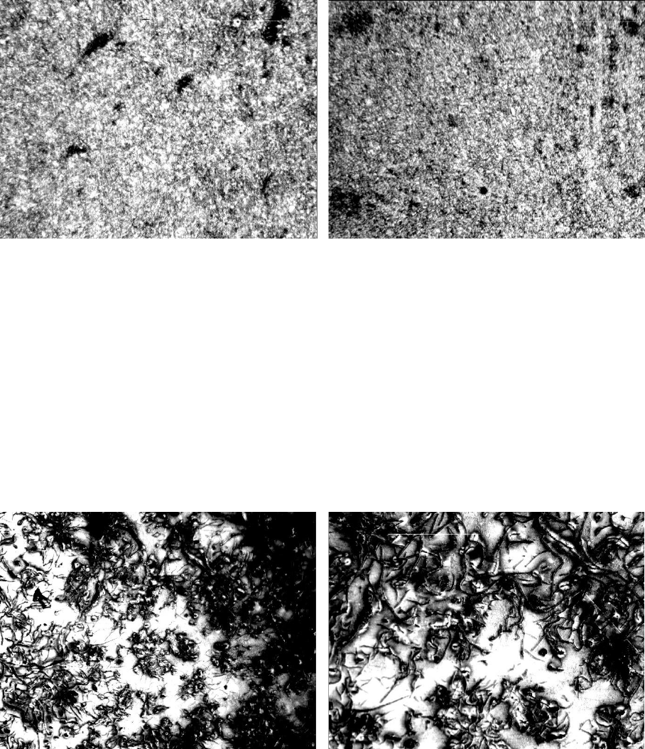 Bainita - Wikiwand, image size:908x1055