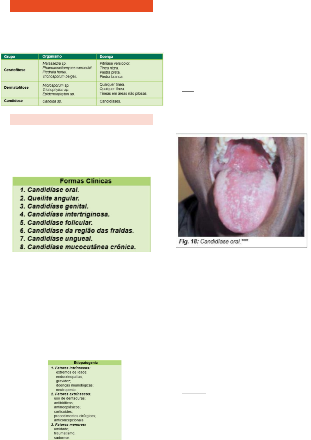 Micoses superficiais - dermatofitoses e candidoses