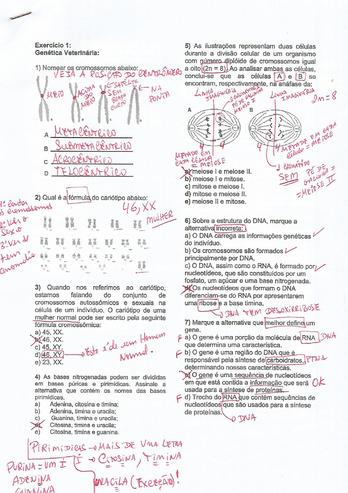 200 questões biologia, Exercícios Biologia